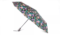 Foldable Umbrella